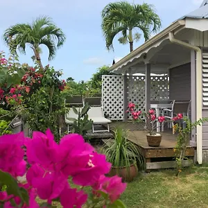 Ti-mango Vue Sainte-Anne (Grande-Terre)